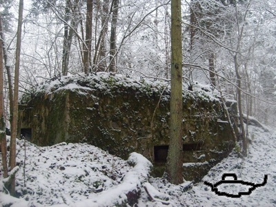 tl201 1011 3